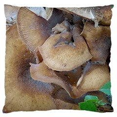 Close Up Mushroom Abstract Large Flano Cushion Case (two Sides) by Fractalsandkaleidoscopes