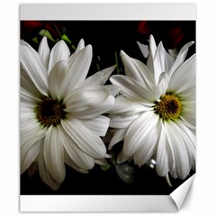 Daisies Canvas 20  X 24  by bestdesignintheworld