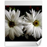 Daisies Canvas 11  x 14  10.95 x13.48  Canvas - 1