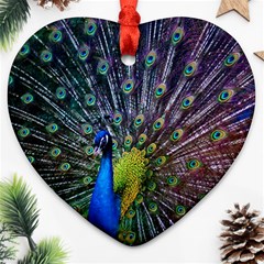 Peacock Colors Bird Colorful Heart Ornament (two Sides) by Vaneshart