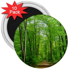 In The Forest The Fullness Of Spring, Green, 3  Magnets (10 Pack)  by MartinsMysteriousPhotographerShop