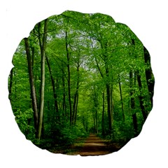 In The Forest The Fullness Of Spring, Green, Large 18  Premium Round Cushions by MartinsMysteriousPhotographerShop