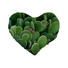 Green Cactus Standard 16  Premium Heart Shape Cushions by Sparkle