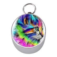 Rainbowcat Mini Silver Compasses by Sparkle