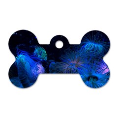 Photo D aquarium Dog Tag Bone (one Side) by kcreatif