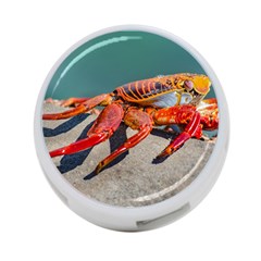 Colored Crab, Galapagos Island, Ecuador 4-port Usb Hub (two Sides) by dflcprintsclothing