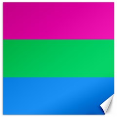 Polysexual Pride Flag Lgbtq Canvas 20  X 20  by lgbtnation