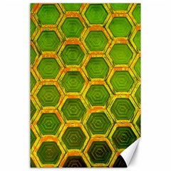 Hexagon Windows Canvas 24  X 36  by essentialimage