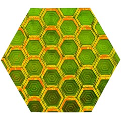 Hexagon Windows Wooden Puzzle Hexagon by essentialimage