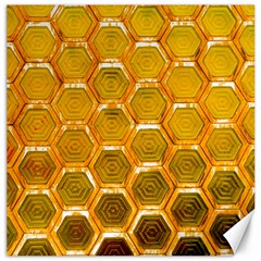 Hexagonal Windows Canvas 12  X 12  by essentialimage365