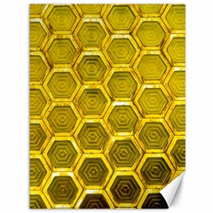 Hexagon Windows Canvas 36  X 48  by essentialimage365