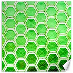 Hexagon Windows Canvas 12  X 12  by essentialimage365