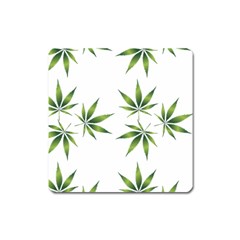 Cannabis Curative Cut Out Drug Square Magnet by Dutashop