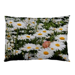 Champs De Marguerites Pillow Case (two Sides) by kcreatif