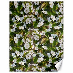 Blooming Garden Canvas 18  X 24  by SychEva