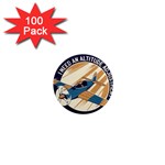 Airplane - I Need Altitude Adjustement 1  Mini Magnets (100 pack)  Front