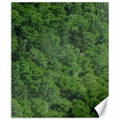 Leafy Forest Landscape Photo Canvas 8  X 10  by dflcprintsclothing