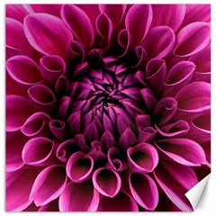 Dahlia-flower-purple-dahlia-petals Canvas 12  X 12  by Sapixe