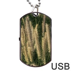 Fountain Grass Under The Sun Dog Tag Usb Flash (one Side) by DimitriosArt