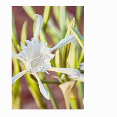 Stars On The Sand Large Garden Flag (two Sides) by DimitriosArt