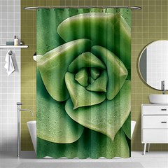 Echeveria Imbricata Closeup Photo Shower Curtain 48  X 72  (small)  by dflcprintsclothing