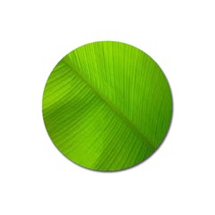 Banana Leaf Magnet 3  (round) by artworkshop