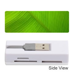 Banana Leaf Memory Card Reader (stick) by artworkshop