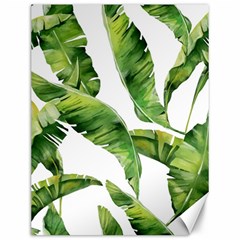 Sheets Tropical Plant Palm Summer Exotic Canvas 12  X 16  by artworkshop