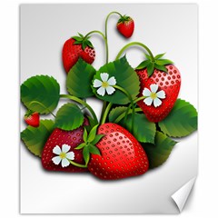 Strawberries-fruits-fruit-red Canvas 20  X 24  by Jancukart