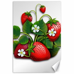 Strawberries-fruits-fruit-red Canvas 24  X 36  by Jancukart