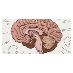 Cerebrum Human Structure Cartoon Human Brain Banner And Sign 4  X 2  by Sapixe