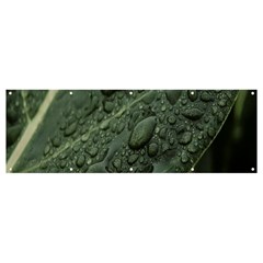 Leaves Water Drops Green  Banner And Sign 12  X 4  by artworkshop