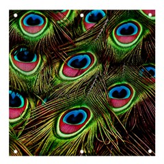 Peacock Feathers Color Plumage Banner And Sign 4  X 4  by Celenk