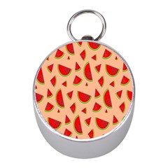 Fruit-water Melon Mini Silver Compasses by nateshop