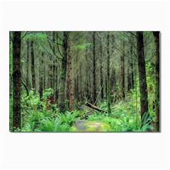 Forest Woods Nature Landscape Tree Postcard 4 x 6  (pkg Of 10) by Celenk