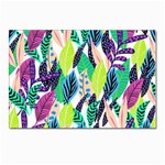 Sheets Drawing Pattern Nature Postcards 5  x 7  (Pkg of 10) Front