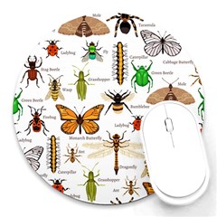 Insects-seamless-pattern Round Mousepad by Wegoenart