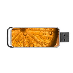 Lime Water Bubbles Macro Light Detail Background Portable Usb Flash (two Sides) by Wegoenart