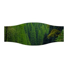 Forest Scenery Nature Trees Woods Stretchable Headband by danenraven