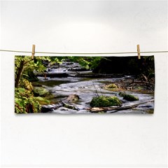 Bach Water Landscape Nature Forest Summer Sun Hand Towel by danenraven