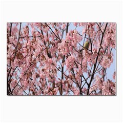 Japanese Sakura Background Postcards 5  X 7  (pkg Of 10) by artworkshop