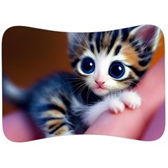 Cute Kitten Kitten Animal Wildlife 3d Velour Seat Head Rest Cushion by Pakemis