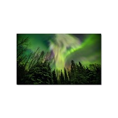 Aurora Borealis In Sky Over Forest Sticker Rectangular (10 Pack) by danenraven