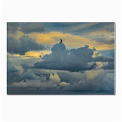 Bird Flying Over Stormy Sky Postcards 5  X 7  (pkg Of 10) by dflcprintsclothing