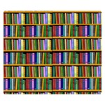 Books On A Shelf One Side Premium Plush Fleece Blanket (Small) 50 x40  Blanket Front