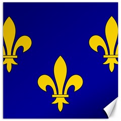 Ile De France Flag Canvas 16  X 16  by tony4urban