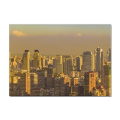 Buenos Aires City Aerial View002 Sticker A4 (100 Pack) by dflcprintsclothing