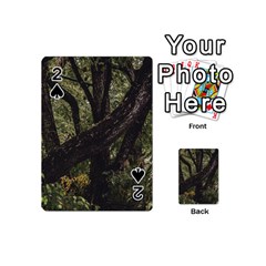 Botanical Motif Trees Detail Photography Playing Cards 54 Designs (mini) by dflcprintsclothing