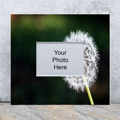 White Flower White Wall Photo Frame 5  X 7  by artworkshop