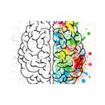 Brain-mind-psychology-idea-drawing One Side Premium Plush Fleece Blanket (Mini) 35 x27  Blanket Front